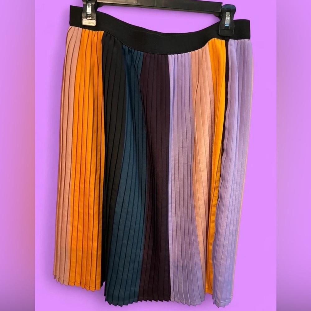 Multicolor Pleated Women's Skirt